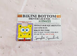 Sponge License Card Skin